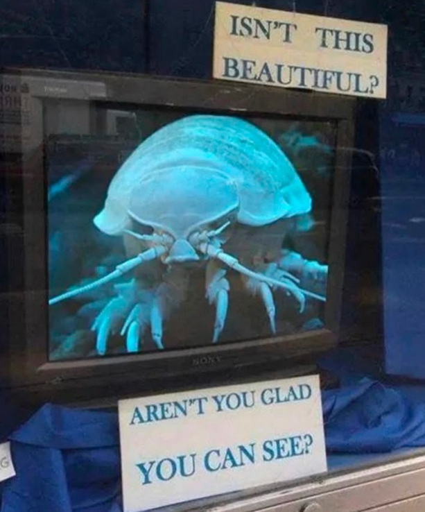 Site hosted by Neocities